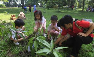 FOTO HARI BUMI : Menanam Pohon Mangga 