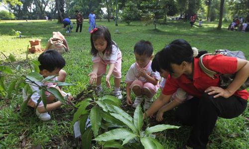 FOTO HARI BUMI : Menanam Pohon Mangga 