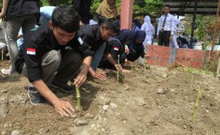 FOTO KEGIATAN SEKOLAH : Menanam Bibit Rumput Gajah