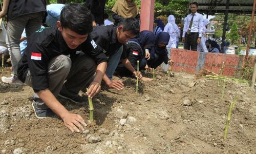 FOTO KEGIATAN SEKOLAH : Menanam Bibit Rumput Gajah