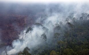 KABUT ASAP RIAU : Mei 2014, Lahan di Riau yang Terbakar Bertambah 16 Ha