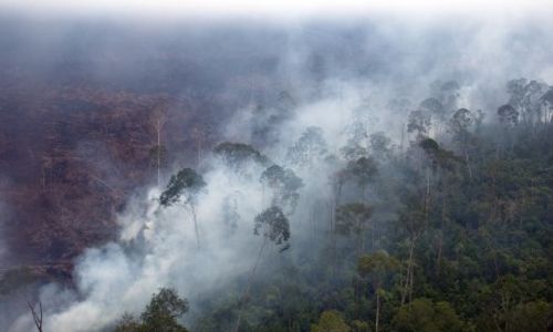 KABUT ASAP RIAU : Mei 2014, Lahan di Riau yang Terbakar Bertambah 16 Ha