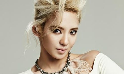 K-POP : Hyoyeon SNSD Terlibat Kasus Perkelahian?