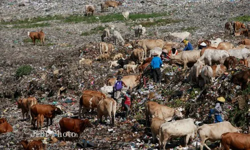 TPA PIYUNGAN BANTUL : Usia TPA Piyungan Habis, Kota Jogja Galakkan Bank Sampah