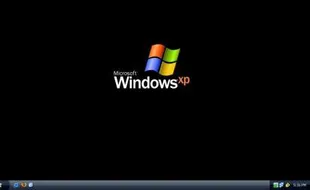 Demi Pertahankan Windows XP, Belanda Rela Bayar Jutaan Euro