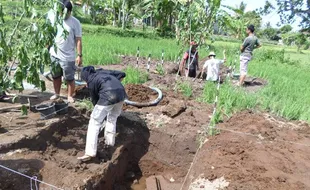 Candi di Sleman Diduga Peninggalan Abad ke 8 Masehi