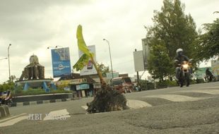 Pohon Pisang ini Ditanam di Tengah Jalan