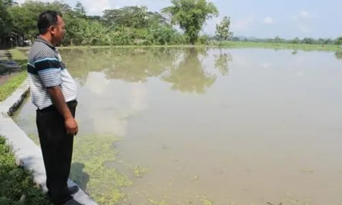 BENCANA ALAM KLATEN : 39 Desa Rawan Banjir