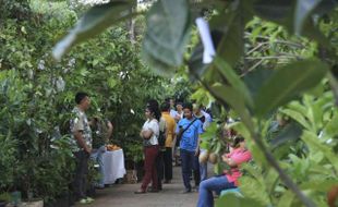 FOTO PAMERAN FLONA 2014 : Pameran Flora dan Fauna Digelar Sebulan