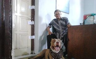 UN SD 2014 : Di Klaten, Anjing Galak Ikut Jaga Naskah UN