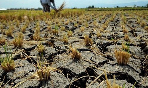 KRISIS AIR BERSIH : Wilayah Kekeringan di Temanggung Meluas