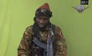 AKSI BOKO HARAM : Markas Diserang Lebah, Boko Haram Tinggalkan Nigeria