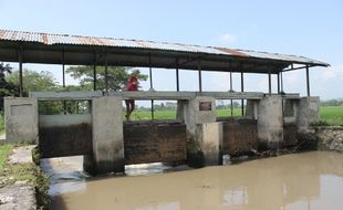 SABOTASE PINTU AIR : 40% Pintu Air di Klaten Rusak