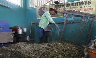 PENGELOLAAN SAMPAH SOLO : Kompos Sipengestu Tak Laku, Pengelola Kurangi Produksi