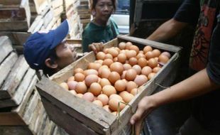 HARGA KEBUTUHAN POKOK : Harga Telur Ayam di Madiun Tembus Rp23.000/Kg