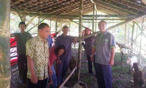 CSR ASTRA GROUP : Astra Group Solo Bagikan 18 Kambing