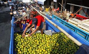 FOTO LEBARAN 2014 : Pesanan Jeruk Pasar Gede Naik 180 Ton/Hari