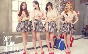 AKTIVITAS SECRET : Girl Band Secret Comeback Agustus 2014!