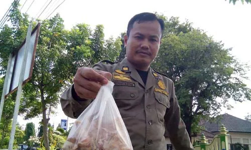 Balungan Busuk Ditemukan di Pasar Temon