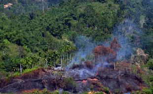 FOTO PEMBAKARAN LAHAN : Hutan di Bukit Barisan Dibakar untuk Pembukaan Lahan Baru