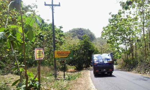 2 Pencuri Kayu di Hutan Paliyan Tertangkap Basah