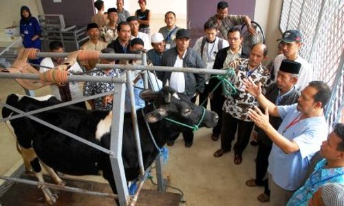 FOTO IDULADHA 2014 : IPB Gelar Pelatihan Penanganan Kurban