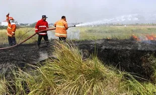 FOTO KEBAKARAN KARANGANYAR : Bakar Sampah Bikin Kebakaran Lahan