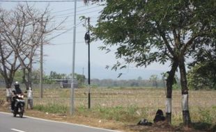 Gelandangan Bertambah, Dinsos Karanganyar Tuding Buangan Daerah Lain