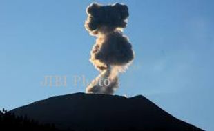 GUNUNG SLAMET SIAGA : Slamet Bergejolak, Kera Turun ke Permukiman Penduduk