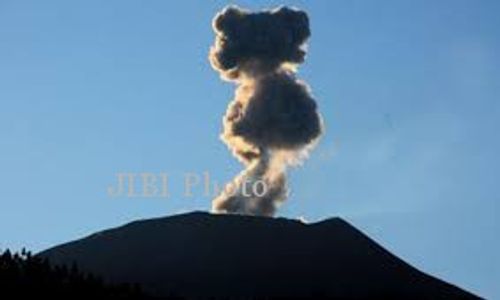 GUNUNG SLAMET SIAGA : Slamet Bergejolak, Kera Turun ke Permukiman Penduduk