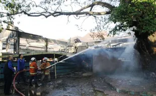 KEBAKARAN SOLO : Pemilik Kafe di Pujasari Minta Trembesi Terbakar Ditebang