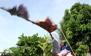 Hindari Tanah Lapang Saat Angin Kencang, Ini Alasannya