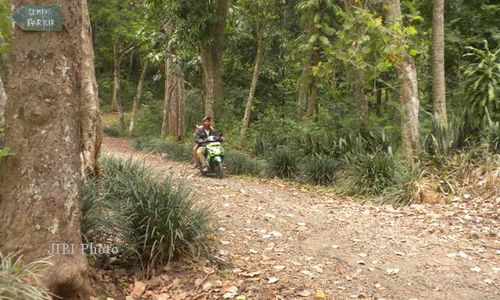 Kawasan Hutan Bromo Karanganyar Potensial Jadi Agro Eduwisata