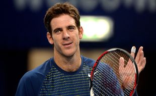 KABAR PETENIS : Del Potro Tunda Comeback