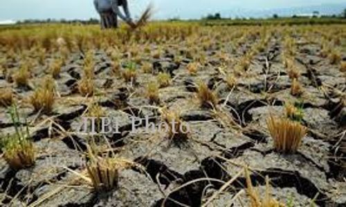 MUSIM KEMARAU : Kemarau di Jogja Diperkirakan Sampai November