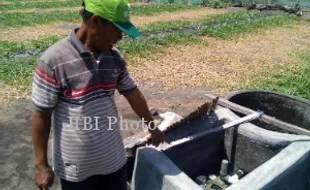 Petani Pesisir Kulonprogo Keluhkan Listrik Pertanian Batal Dipasang