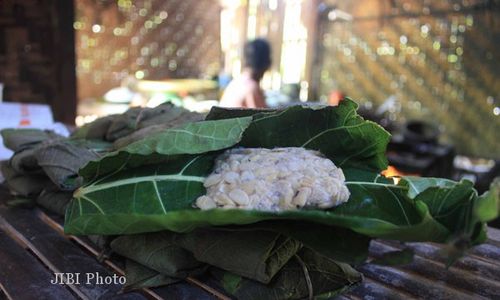 Laru, Ragi Alami Membuat Tempe Lebih Nikmat