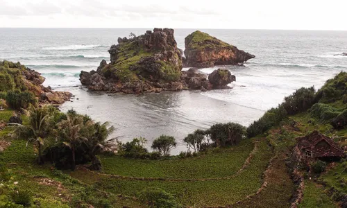 Ini Keanekaragaman Hayati yang Dimiliki Pantai Nglambor