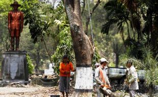 FOTO BUMI PERKEMAHAN KARYA BAKTI PRAJA : Demi Gapura, DKP Kota Solo Tebang Pohon