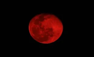 GERHANA BULAN : Jangan Lewatkan, Malam Ini Blood Moon Terlihat di Indonesia