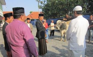 IDULADHA 2014 : Petugas Karanganyar Temukan Cacing Hati