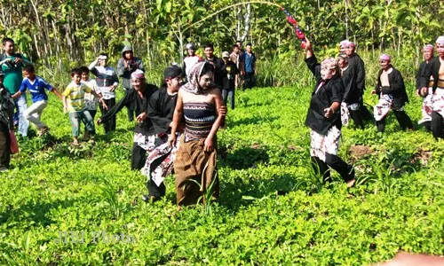 Asal Usul Desa Gedangrejo, Prajurit Majapahit Datang Memakmurkan Desa