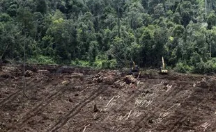 KABUT ASAP : Baru 1 Perusahaan Masuk Penuntutan, Ini Penjelasan Bareskrim