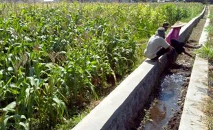 KEMARAU 2014 :  Duh, Petani Boyolali Harus Bayar Rp180.000 Setiap Airi Sawah