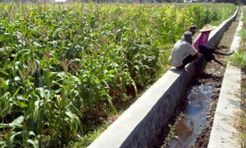 KEMARAU 2014 :  Duh, Petani Boyolali Harus Bayar Rp180.000 Setiap Airi Sawah