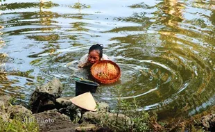 FOTO MENCARI ECE : Siput untuk Konsumsi Tambahan