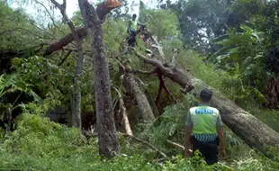 ANGIN KENCANG BOYOLALI : Rumah Rusak Diterjang Angin Capai 539 Unit, Kerugian Rp547 Juta