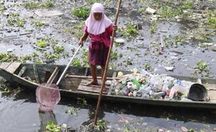 Tercemar Mikro Plastik, Ikan Asli Sungai Bengawan Solo Punah