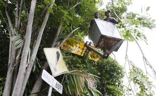 FOTO TAMAN KOTA SOLO : Tutupi Rambu, Dahan Pohon Dipotong