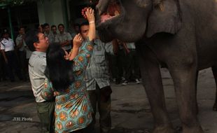 Gembira Loka Berusia 61 Tahun, Bagaimana Perkembangannya?